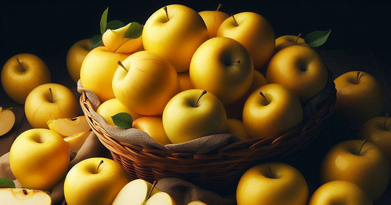 群馬県の黄色いりんご･ぐんま名月を通販お取寄せ